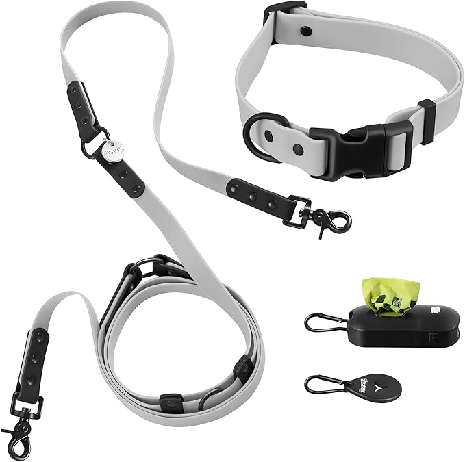 WLK1006N-5SET Luna Large 8FT Adjustable 6-in-1 Waterproof Hands-Free Leash and Collar with LED Flashlight, Bag Dispenser, and Poop Bag Holder, Martini