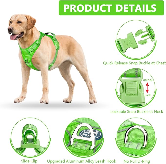 PoyPet No Pull Dog Harness, No Choke Reflective Dog Vest, Adjustable Pet Harnesses with 2 Leash Attachments with Easy Control Padded Handle for Small Medium Large Dogs(Green Matching Trim,XL)