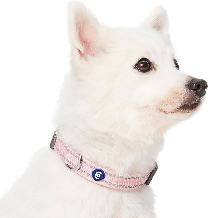 Blueberry Pet Essentials Matching Dog Collar & Leash Set | Pastel Reflective Adjustable Collar with 4 ft Lead for Large Dogs, Baby Pink