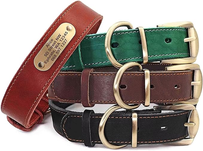 Didog Genuine Leather Dog Collars with Engraved Nameplate, Personalized Soft Leather Dog Collar with Custom ID Tag, Brown/Green/Red for Small Dogs (S,Black)