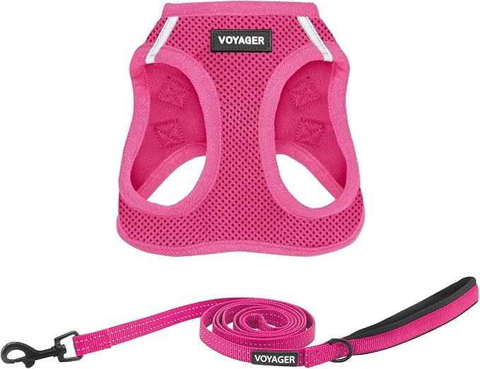 Voyager Step-in Air Cat Harness - All Weather Mesh Step in Vest Harness for Small and Medium Cats by Best Pet Supplies - Set (Fuchsia), XXS