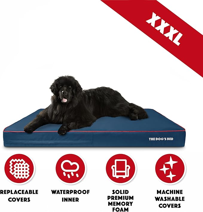The Dog’s Bed Orthopedic Memory Foam Dog Bed, XXXL Blue/Red, Pain Relief for Arthritis, Hip & Elbow Dysplasia Post Surgery, Lameness, Supportive Calming, Waterproof Washable Cover, Veterinary Approved