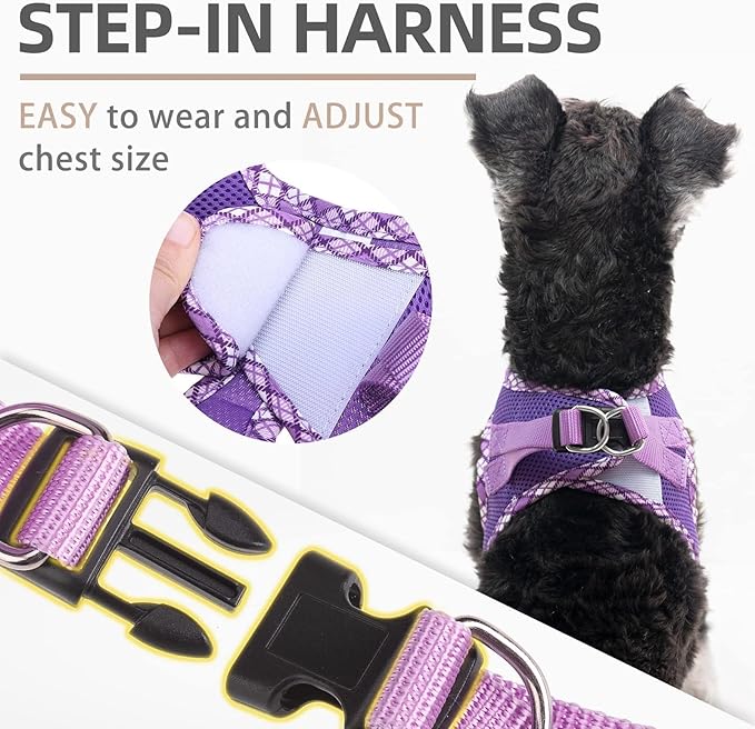 PUPTECK Dog Harness and Leash Set for Small Medium Dogs No Pull Step-in Soft Mesh Puppy Cat Vest Harnesses Reflective at Night, Purple M