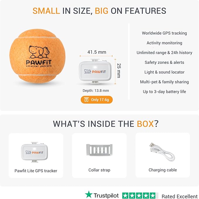 Pawfit Lite for Small Dogs 4g GPS Tracker | Real Time Tracking | Activity Monitoring |Location History | Unlimited Range | Charcoal Grey