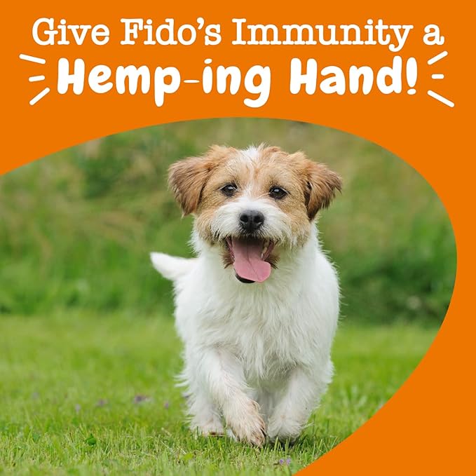 Zesty Paws Dog Allergy Relief - Anti Itch Supplement - Omega 3 Probiotics for Dogs - Salmon Oil Digestive Health - Soft Chews for Skin & Seasonal Allergies - with Epicor Pets – Hemp - 90 Count…