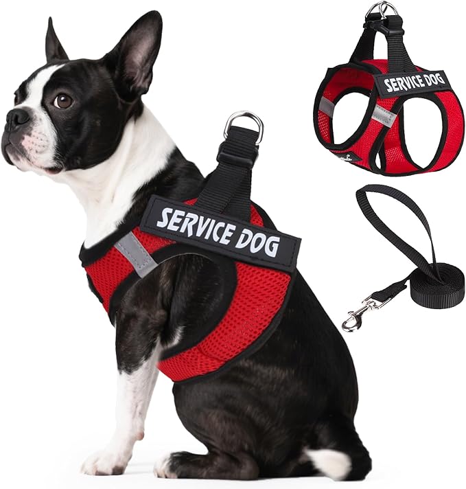 PUPTECK Service Dog Harness and Leash Set for Small Medium Dogs No Pull Step-in Soft Mesh Puppy with 2 Removable Patches Cat Vest Harnesses Reflective at Night, Red, L