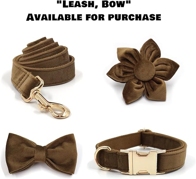 Velvet Personalized Dog Collar with Name - Customizable Dog Collar with Quick Release Metal Buckle - Leash and Bow Tie Available (Dark Brown, XL)