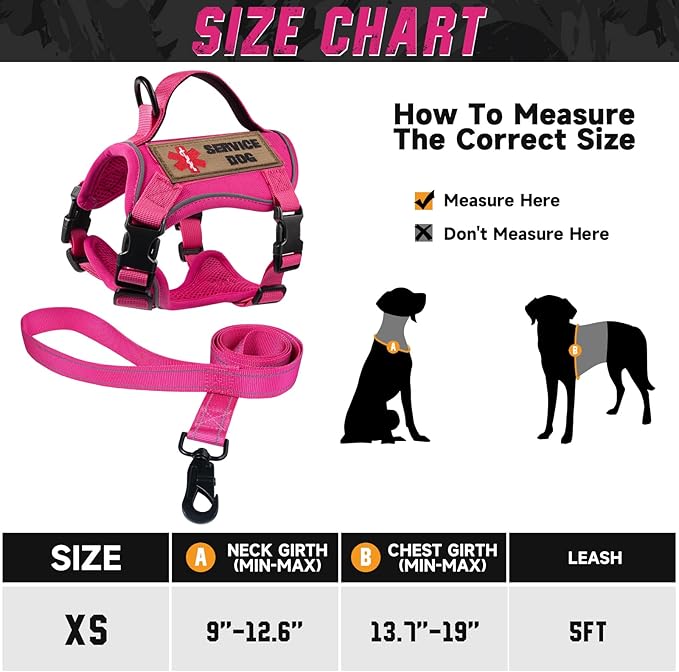 Tactical Dog Harness for Small Dogs, Military Puppy Vest Harness and Leash for Outdoor Training, Adjustable Service Dog Vest with Handle，3 Patches