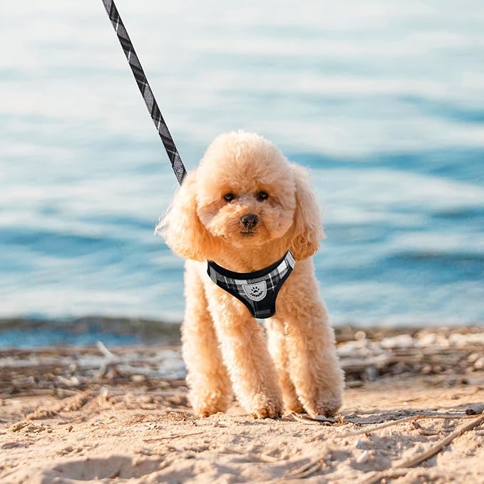 EXPAWLORER Classic Plaid Puppy Harness - Dog Collar and Leash - Soft Mesh Padded Adjustable Step in Small Dog Vest Harness No Pull, Reflective Escape Proof for Outdoor Walking, Black M