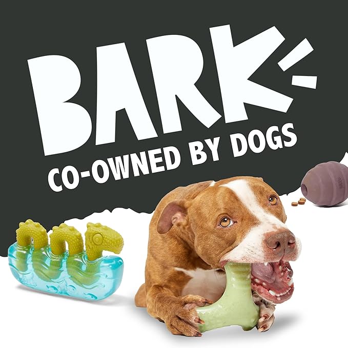 Barkbox Super Chewer Tough Dog Chew Toys for Aggressive Chewers, Plush 2 Toys in 1 (Potato - Small)