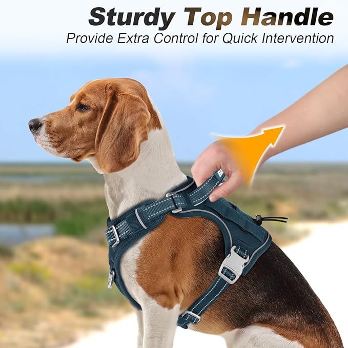 BARKBAY Service Dog Vest Tactical Dog Harness Medium Large Sized Dog Tags Personalized No Pull Adjustable Harness Reflective Working Training Easy Control Military Molle System(Legion Blue,M)