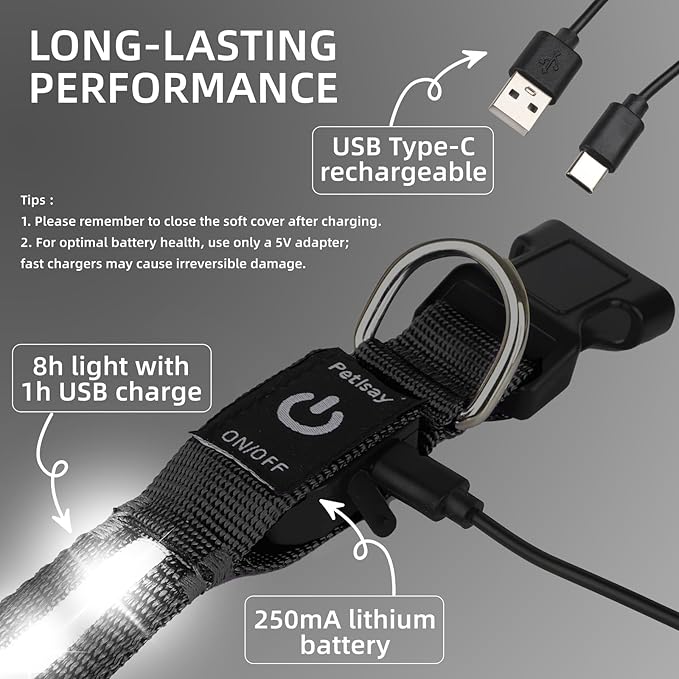 LED Dog Collar for Small Dogs Cats - Fully Waterproof & Adjustable Glow Collar - USB-C Rechargeable for Night Walking, Safety - Flashing Lighted Collar for Dogs(White,XS)