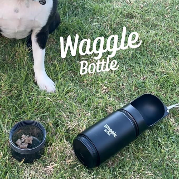 Stainless Steel Dog Travel Water Bottle, Double-Wall Vacuum Insulated Portable Dog Water Dispenser, Drink Cup and Snack Container On The Go, Outdoor Walking, Hiking, Travel, Water Bottle