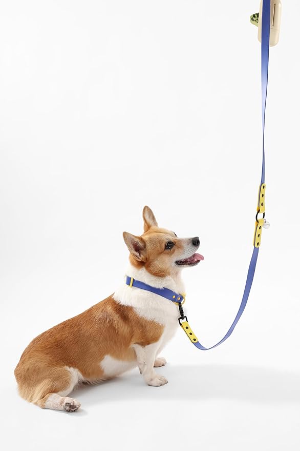 WLK1005C-5SET Luna Medium 8FT Adjustable 6-in-1 Waterproof Hands-Free Leash and Collar with LED Flashlight, Bag Dispenser, and Poop Bag Holder, Curaçao