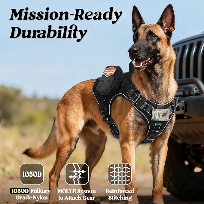 rabbitgoo Tactical Dog Harness Medium Sized, No Pull Upgraded Reflective Heavy Duty Molle Vest with Handle, Adjustable Military Service Dog Vest for Walking Hiking Training, Black, M
