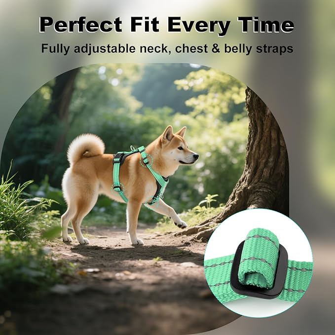Plutus Pet Adjustable No Pull Dog Harness with Leather Accents, Heavy Duty Reflective Nylon Vest for Training, Hiking, Easy Walk Harness for Small, Medium, Large Dogs (Teal, XL)