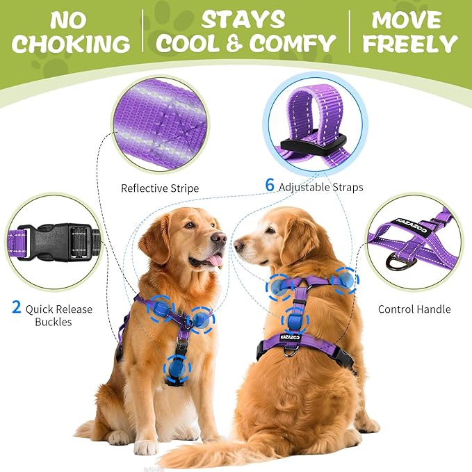 No-Pull Harness,Y-Shaped Design,Buckle-Neck Balance Harness with Reflective Stitching, Ideal for Dog Training and Night Walking, Padded Handle, Durable High-Tensile Nylon-Purple-L