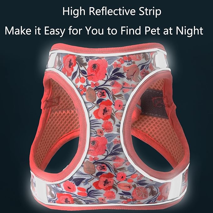 Small Dog Harness and Leash Set, Step in Dog Harness No Pull for Walking Running Training, Puppy Essentials for Dogs Cat Bunny, Adjustable Reflective Dog Vest Harness. (Orange, S)