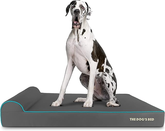 The Dog’s Bed Orthopedic Headrest Dog Bed XXL Grey/Blue, Memory Foam, Pain Relief for Arthritis, Hip & Elbow Dysplasia, Post Surgery, Lameness, Waterproof Washable Cover