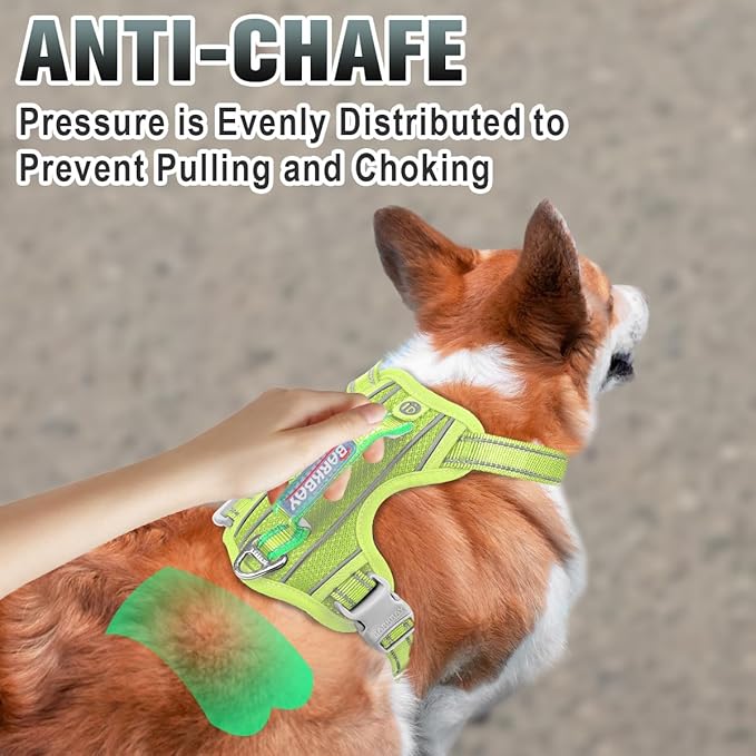 BARKBAY No Pull Dog Harness Large Reflective Dog Harness with Front Clip and Easy Control Handle for Walking Training Running with ID tag Pocket(Sunlight,XS)