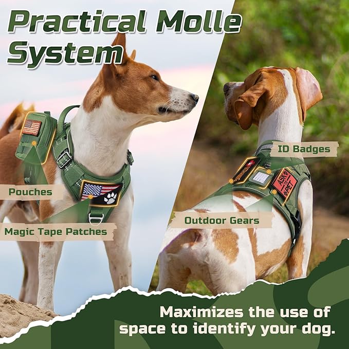 rabbitgoo Tactical Dog Harness Medium Sized Dog, No Pull Military Service Vest with Handle & Molle, Easy Control for Training Walking, Adjustable Reflective Straps, Green, M