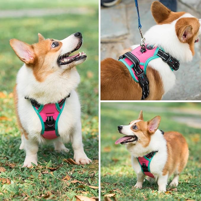 PHOEPET 2019 Upgraded No Pull Dog Harness, Reflective Adjustable Vest, with a Training Handle + 2 Metal Leash Hooks+ 3 Snap Buckles +4 Slide Buckles(XS, Pink)