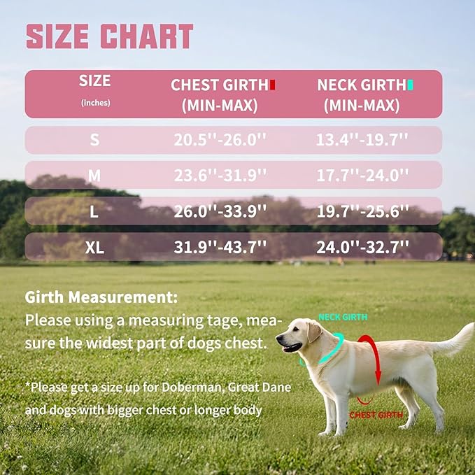 AUROTH Dog Harness and Leash Set, Soft Padded Dog Vest with 5.25FT Dog Leash, No Choke, Easy On Pet Vest, Adjustable Reflective No Pull Dog Harness for Large Dogs, Easy Walking and Training