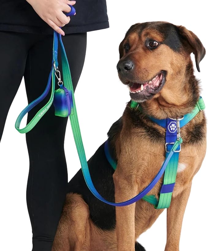 Spark Paws No Pull Dog Harness for Large Dogs, Heavy Duty Dog Harness for Big Strong Breeds, Adjustable, Y Shaped Padded Halter Design with Front Clip - Lime Wave - L