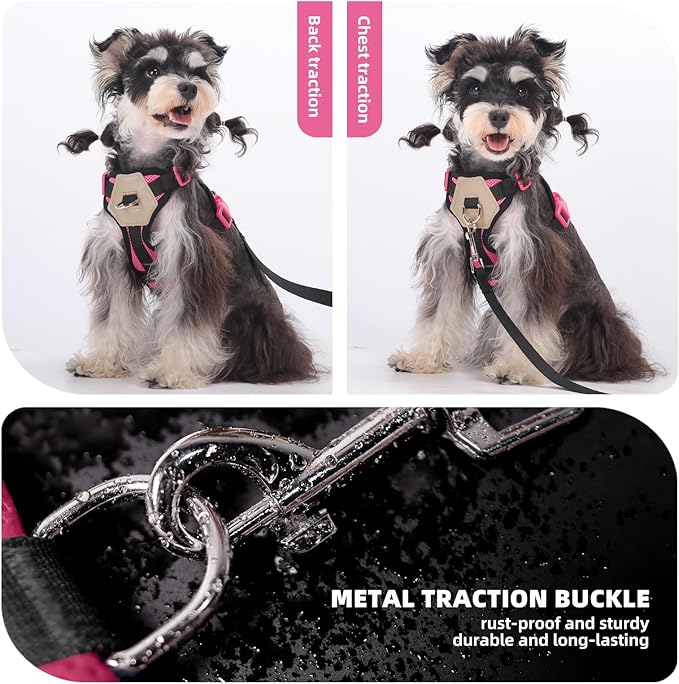 Small Dog Harness and Leash Set, Breathable Mesh Puppy Harness, Adjustable Dog Harness for Small Medium Large Dogs, No-Pull Pet Harness for Daily Walking (Hotpink, X-Large)