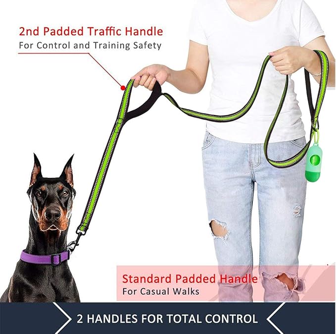 JSXD Heavy Duty Double Handle Dog Leash - 5 FT with Comfortable Padded and Reflective Rope, for Small to Large Dogs (Wide-Green)