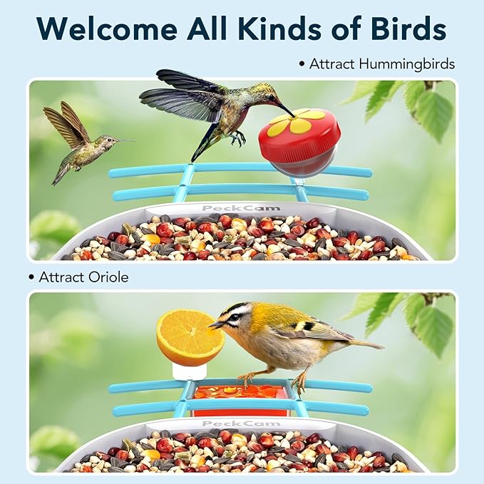 Smart Bird Feeder with Camera 2K Live Real-Time Alert AI Identify with 32G Card DIY Attachments Camera Bird Feeder Solar Powered Wireless Outdoor Birdwatching Gift for Birds Lover, Blue