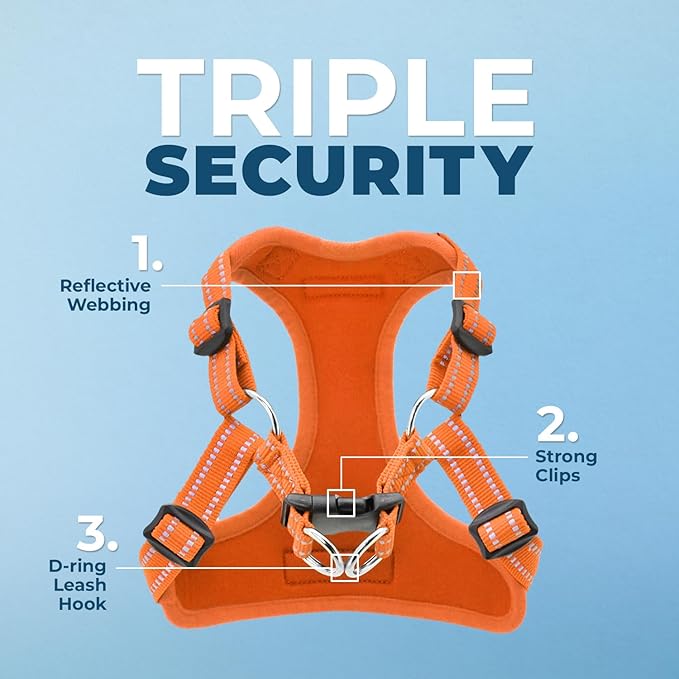 Best Pet Supplies Voyager Mesh Dog Breathable Harness Reflective Stitching, All Weather Adjustable for Walking Training, or Running - Heavy Duty & Durable, Harness Leash Set (Orange), M