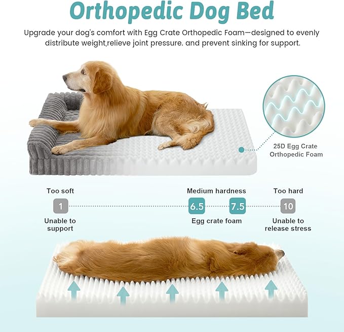 Cute Dog Bed, Faux Rabbit Fur Orthopedic Foam Dog Bed with Sides, Removable Washable Cover & Waterproof Lining, Comfortable Pet Couch for Small Dogs, Grey (30" L x 20" W x 6" Th)