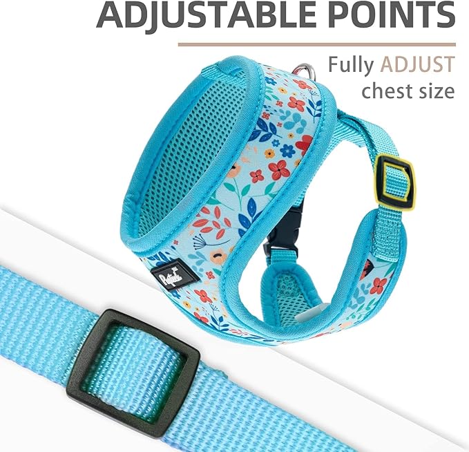 PUPTECK Soft Mesh Dog Harness and Leash Set Pet Puppy Cat Comfort Padded Vest No Pull Harnesses, Blue Floral, S