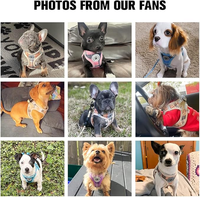 BEAUTYZOO Small Dog Harness and Leash Set, Step in No Choke No Pull Soft Mesh Dog Harnesses Reflective for Extra-Small/Small Medium Puppy Dogs and Cats, Plaid Dog Vest Harness for XS S Pets, Purple L