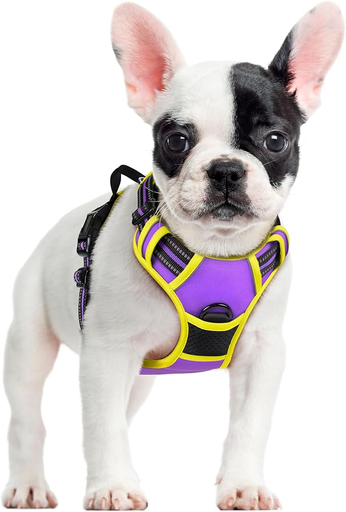 rabbitgoo Dog Harness No Pull with 2 Leash Clips, Adjustable Soft Padded, Reflective Oxford No Choke Pet Vest with Easy Control Handle for Small Dogs, Purple & Yellow, S
