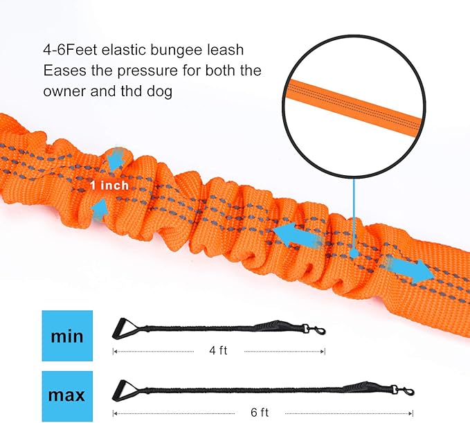 6FT Highly Reflective Heavy Duty Elastic Bungee Medium and Large Dog Leash Shock Absorbing with Comfortable Padded Handle and Traffic Handle Suitable for Training