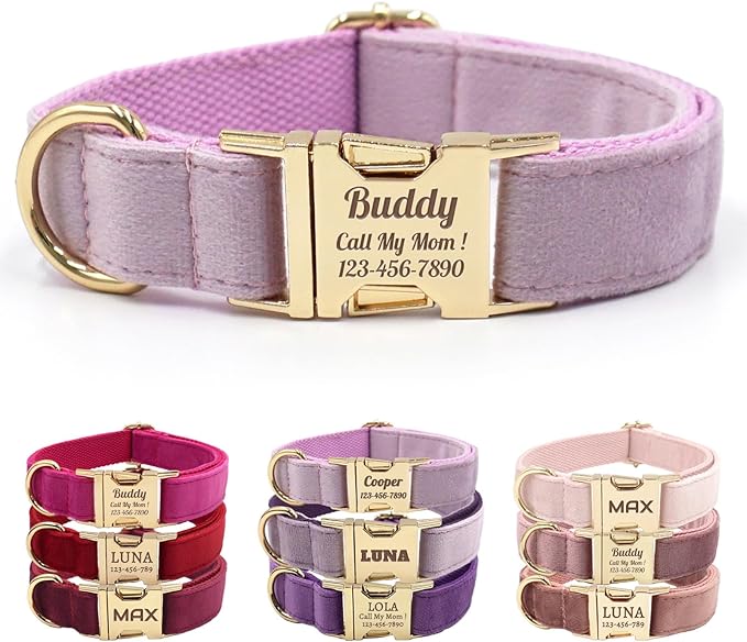 Velvet Personalized Dog Collar with Name - Customizable Dog Collar with Quick Release Metal Buckle - Leash and Bow Tie Available (Thistle, XL)