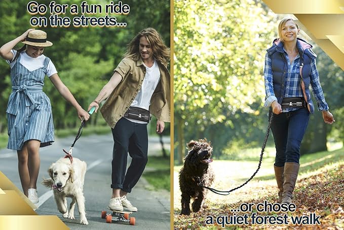 SparklyPets Hands Free Dog Leash for Medium and Large Breeds – Professional Harness with Reflective Stitches for Training, Walking, Jogging and Running Your Pet (Premium Teal, for 1 Dog)