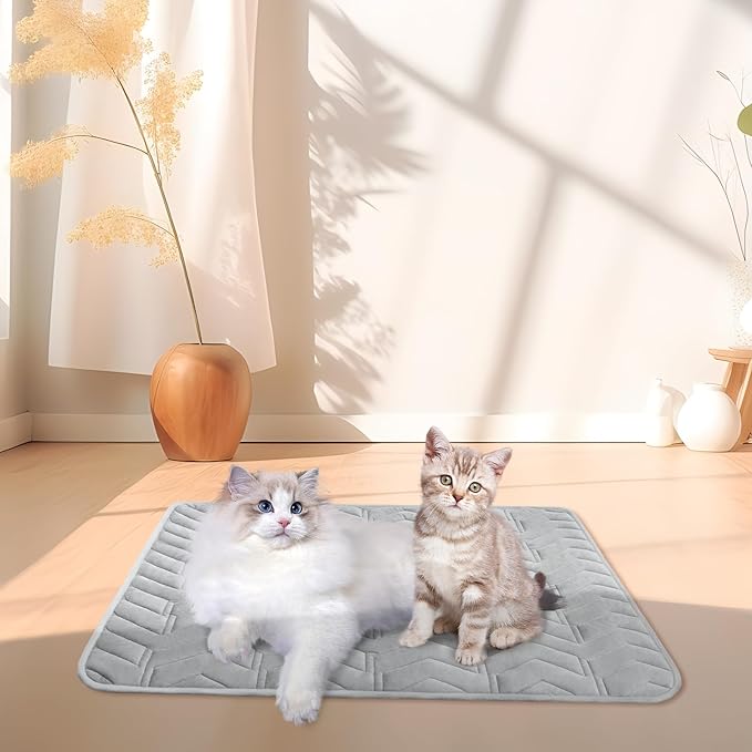 BINGPET 2 Pcs Self Warming Pet Bed for Indoor/Outdoor Cats & Dogs, Warm Thermal Self Heating Mat with Anti-Slip Bottom, Washable, Cozy Heating Pad Blanket for Kittens & Puppies, 28"×45"