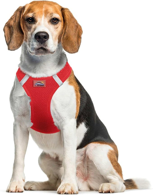 Doggie Design Dog Harness - No Choke Dog Harness, Dog Vest, Mesh Polyester, Pet Harness, Simple Step in and Go Design, Harness for Dog - Red, XL