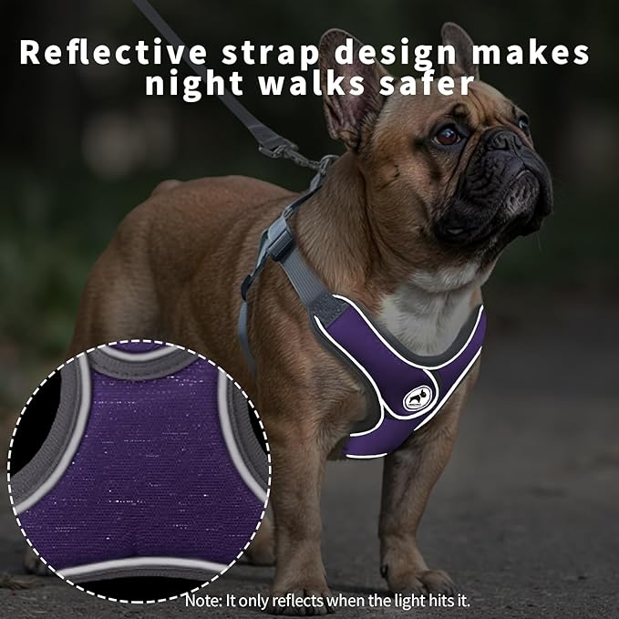 Dog Harness with Leash Set, Adjustable Step in Collars Harness with Breathable Padded Vest for Large Dog Training and Running (L, Purple)