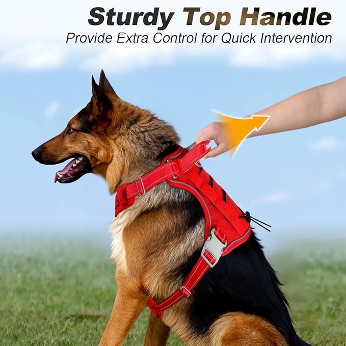 BARKBAY Service Dog Vest Tactical Dog Harness Medium Large Sized Dog Tags Personalized No Pull Adjustable Harness Reflective K9 Working Training Easy Control Military Molle System(Red,L