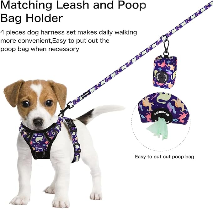 Petmolico No Pull Dog Harness Set,4 Leash Attchment Easy Control Handle Reflective Vest Dog Harness and Leash Set for Small Breed, with Poop Bag Holder,Small-Purple Dinosaur