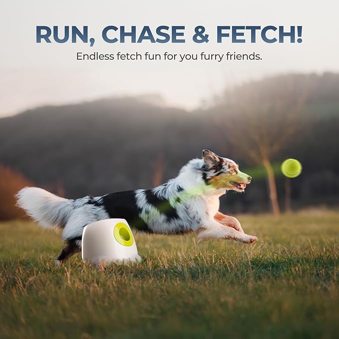 ALL FOR PAWS Automatic Ball Launcher for Dogs Interactive Puppy Pet Ball Outdoor Thrower Fetch Machine, 6 Balls Included (2.5 inch) for Medium to Large Dogs, Rechargeable Battery