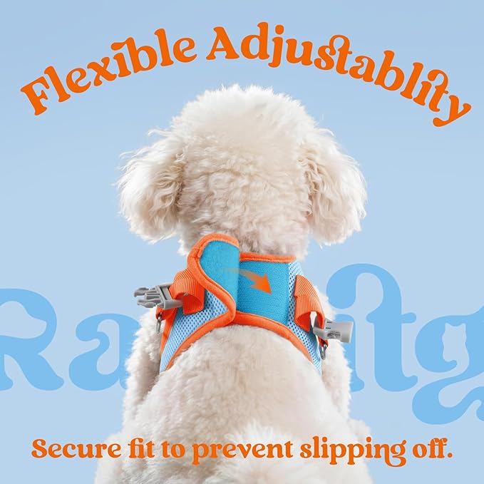 rabbitgoo Dog Harness Small Sized and Leash Set, Step-in Breathable Pet Harness, Soft Walking Reflective Puppy Vest for Small Dogs, Light Blue & Orange, XS