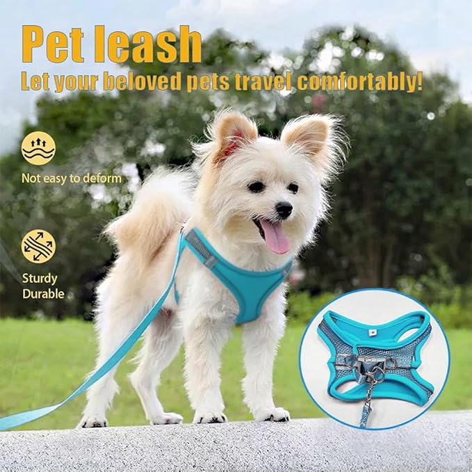 Dog Harness Small Sized and Leash Set, Dog Harness with Leash Set, Comfortable Air Mesh Dog Vest Harness with Reflective Strip, Reflective for Safe Easy Walking Dogs, Cats, Blue S