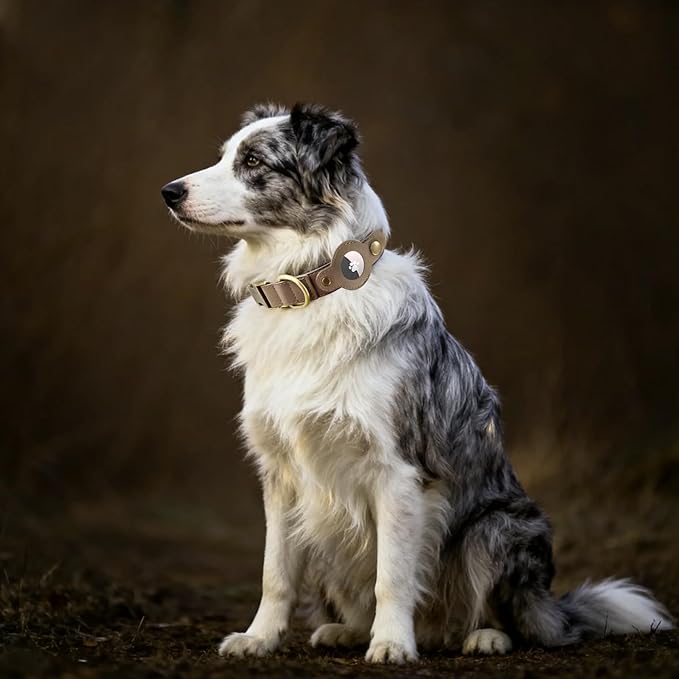 AirTag Dog Collar for Large Dogs - Soft Leather Dog Collar with Apple AirTag Holder and Metal Buckle - Smart Tracker GPS Apple Air Tag Pet Collars (Brown, L)