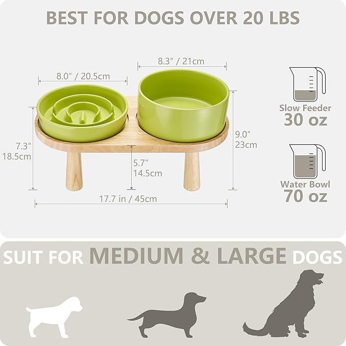 Ceramic Slow Feeder and Water Bowl Set for Medium and Large Dogs, 8.0inch Ceramic Dog Bowls Elevated with Wooden Stand, 2.0 Cups Dog Slow Feeder(30oz) and 70oz Water Bowl Set, Green