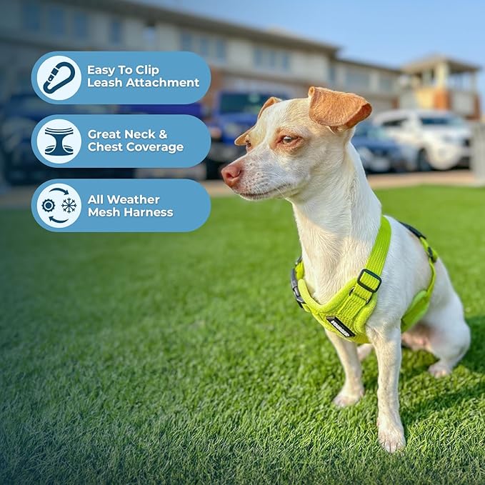 Voyager Step-in Air All Weather Mesh Harness and Reflective Dog 5 ft Leash Combo with Neoprene Handle, for Small, Medium and Large Breed Puppies by Best Pet Supplies - Set (Lime Green), XL